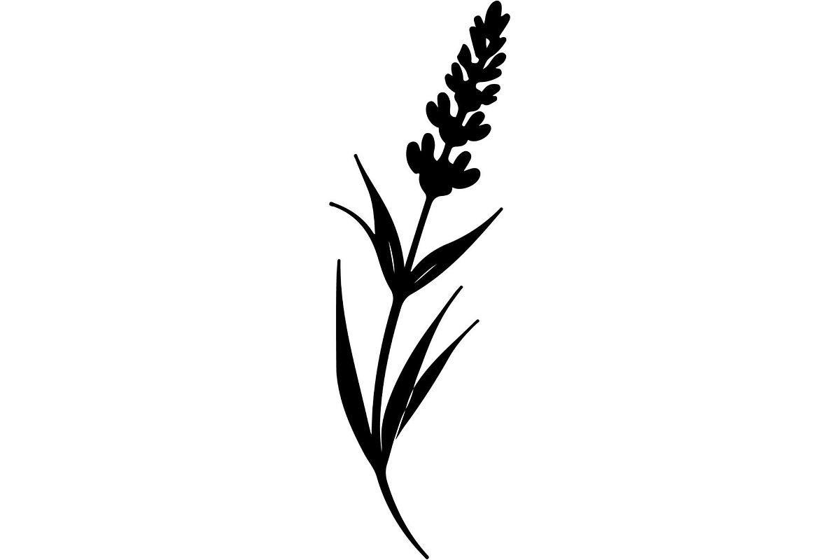 Decorative Tribal Feather Vector, an Object Graphic by Designer_Momina (Photo 2 of 18)