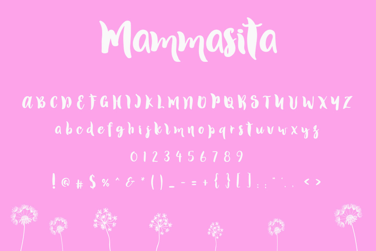 Mammasita Script Font preview 2