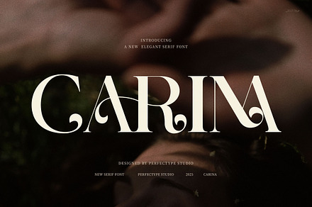 Carina Elegant Serif Font