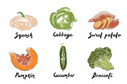 Set of 42 organic food sketches, a Food Illustration by Akimo Mia (Thumbnail 4 of 8)