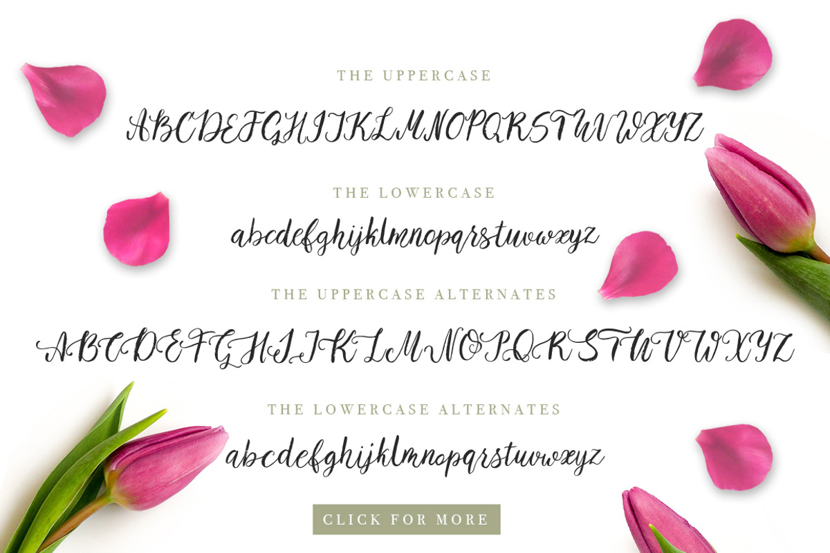 Tulip Garden Script. preview 4