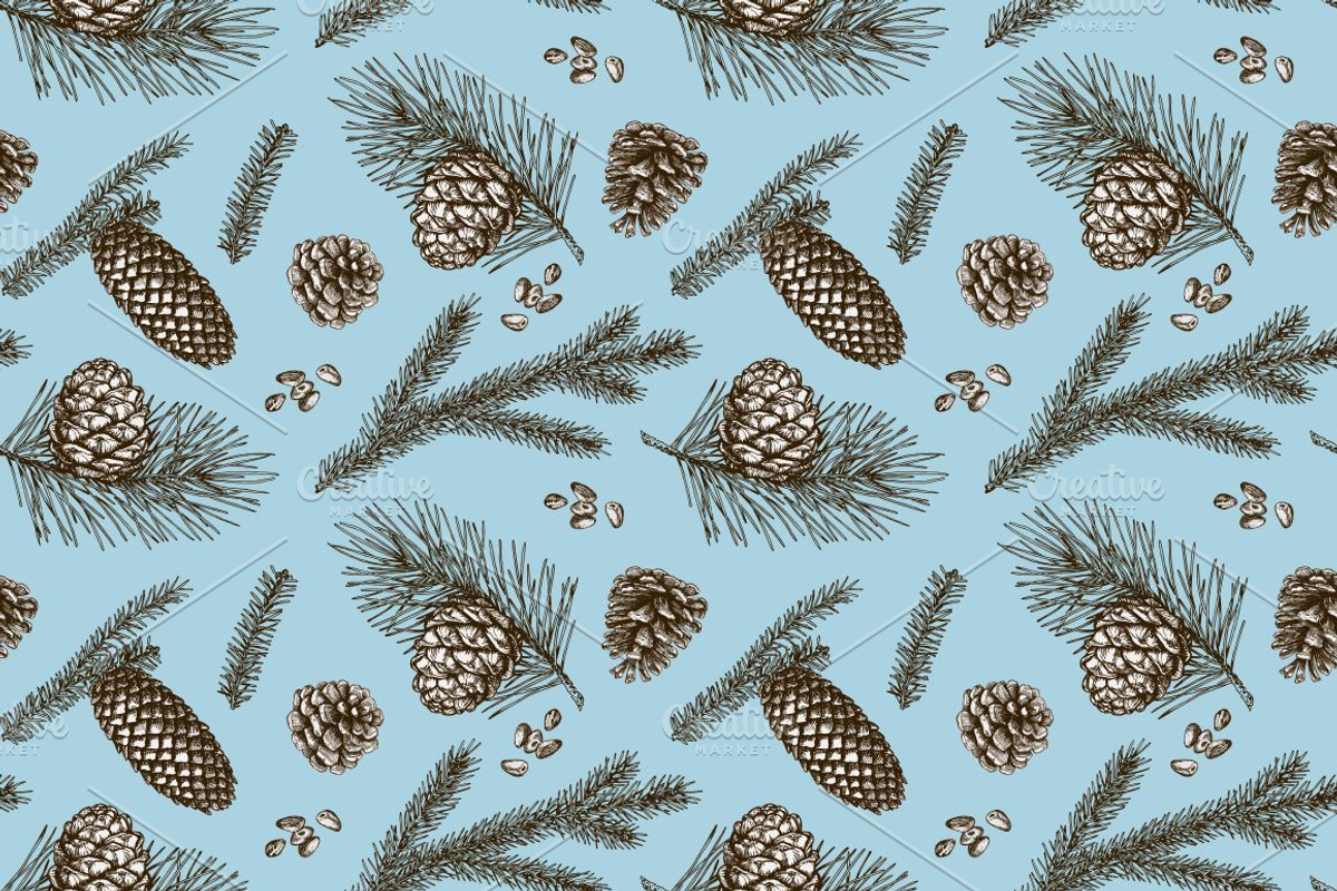 Vector fir branches, a Decorative Illustration by natadanko (Photo 4 of 4)
