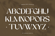 Onnega - Modern Elegant Serif Font, a Serif Font by Flawless And Co (Thumbnail 7 of 10)