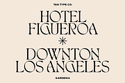 TAN - GARDENIA, a Font by TanType (Thumbnail 4 of 21)