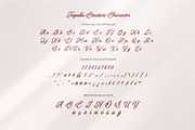 Tequilla Creature | Bold Calligraphy, a Script Font by Ariya Works (Thumbnail 11 of 14)