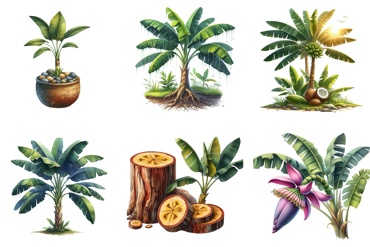 Banana Tree Free Clipart, an Illustration by DreamArtGraphic (Photo 5 of 7)