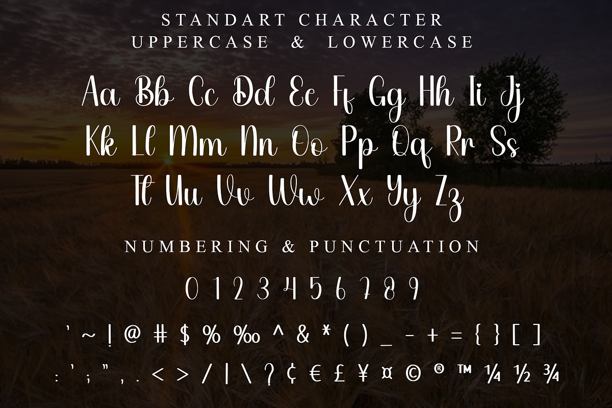 Better Lemoncake, a Handwritten Font by InermediaSTUDIO (Photo 2 of 8)