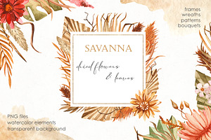 Savanna Dried Flowers Watercolor