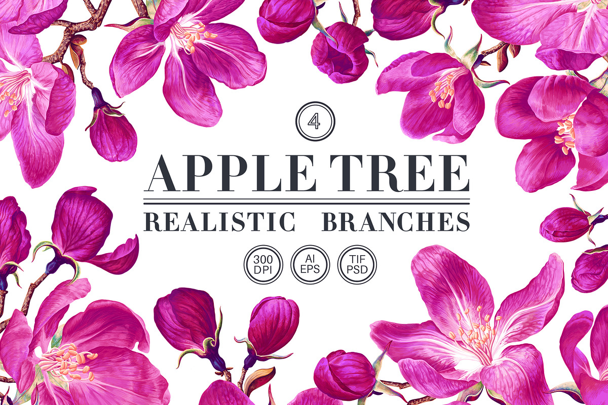 4 Apple Tree Flower Branches, an Illustration by MarynaPetrovska (Photo 1 of 14)