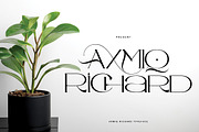 Axmiq Richard, a Slab Serif Font by Bramcreative (Thumbnail 7 of 12)