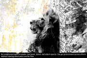 Organic 72 Procreate Texture Brushes, a Brush Add-On by HabitusDesigns (Thumbnail 7 of 14)