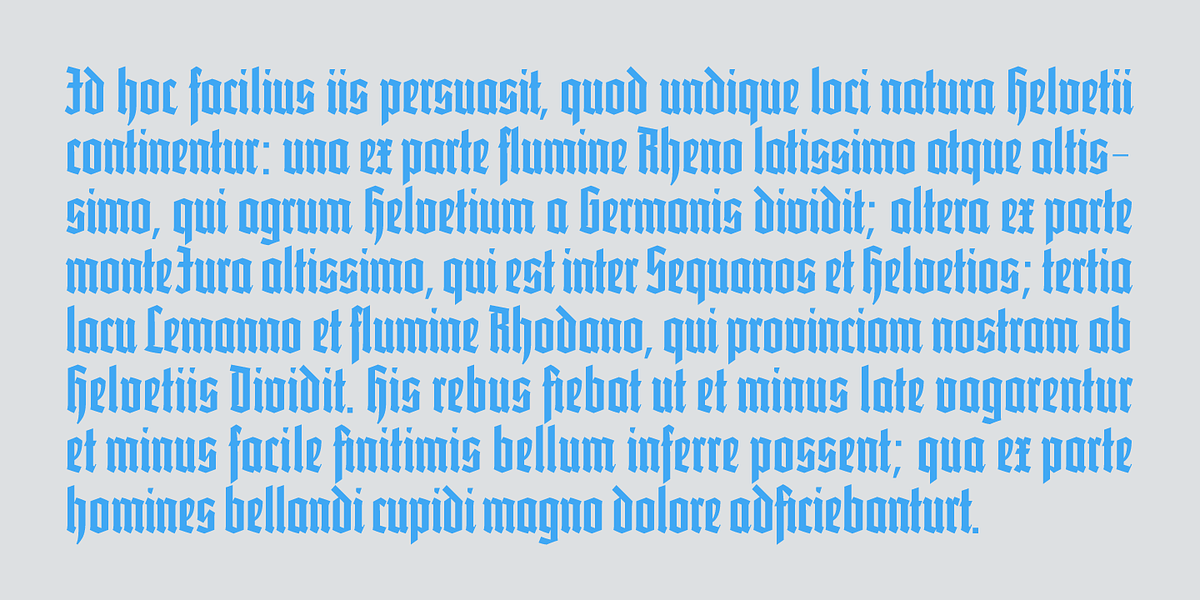 Vivala bl, a Blackletter Font by VivalaType (Photo 6 of 7)