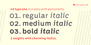 nd type one, a Sans Serif Font by Notdef Type (Thumbnail 2 of 12)