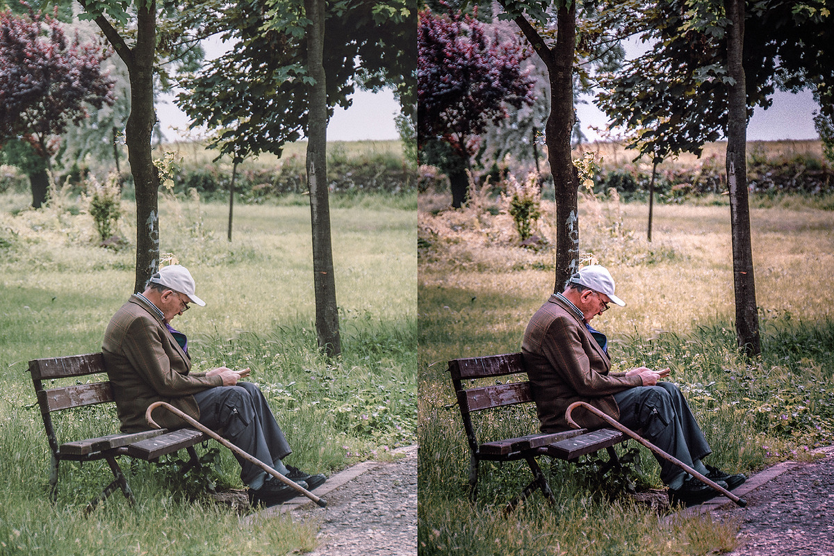 Crisp Adobe Lightroom Preset, a Preset Add-On by Voleshads (Photo 4 of 12)