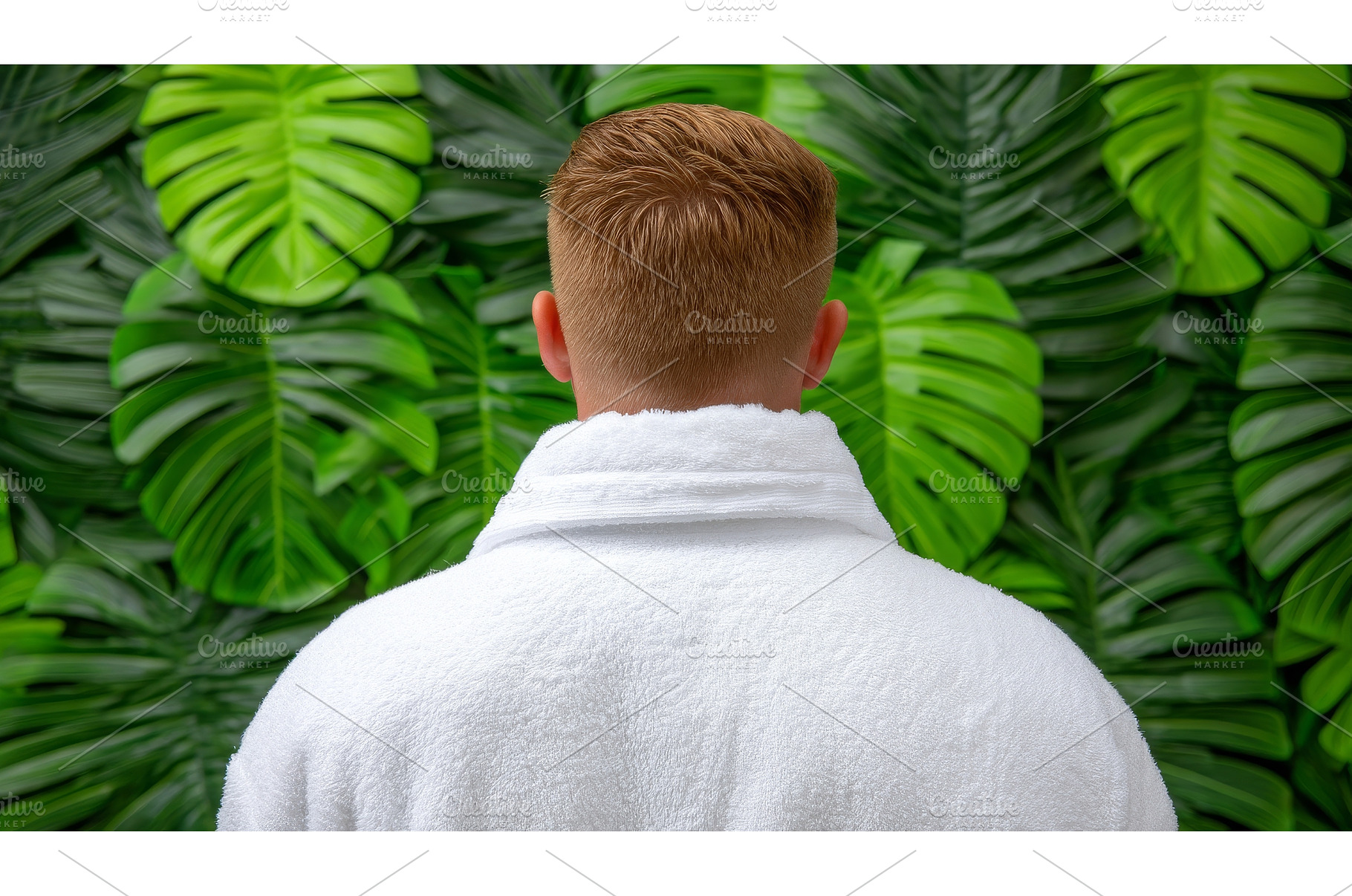 A serene tropical garden provides, a Nature Photo by ZinetroN