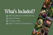 165 Secret Garden Stock Photos, a Nature Photo by Incomelion (Thumbnail 11 of 17)