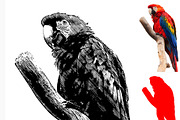 Vector Trace Photoshop Action, an Action Add-On by Photoshop Action (Thumbnail 8 of 13)