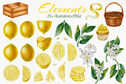 Lemon — Watercolor Illustration Set, a Food Illustration by Andre_Eva (Thumbnail 2 of 12)