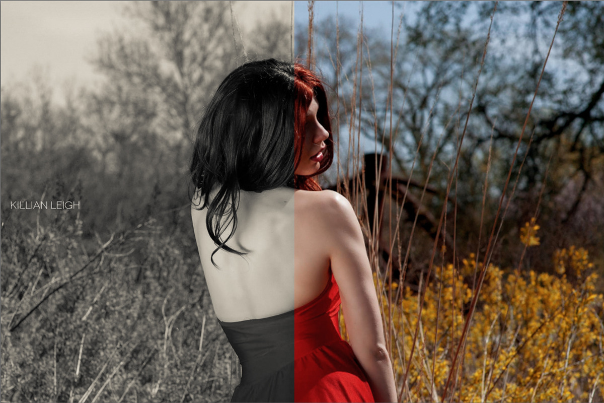 LR Black & White Collection, an Action Add-On by PresetHut (Photo 3 of 5)
