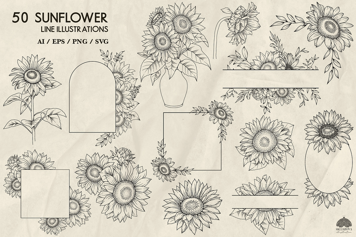 Sunflowers line art + Procreate, a Decorative Illustration by Skliarova (Photo 3 of 5)