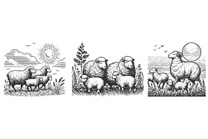 Sheep and Lambs in Pasture set, an Animal Illustration by AlexArt