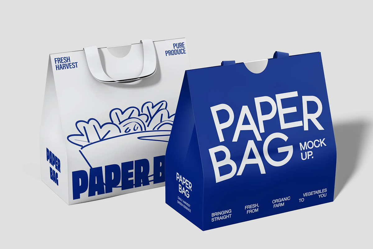 Minimalist Paper Shopping Bag, a Packaging Mockup by graphicsauce (Photo 2 of 4)