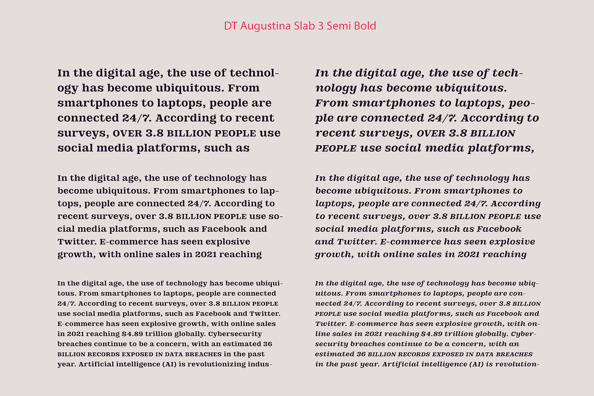 DT Augustina Slab 3 Subfamily, a Slab Serif Font by Deveze Type Foundry (Photo 12 of 31)