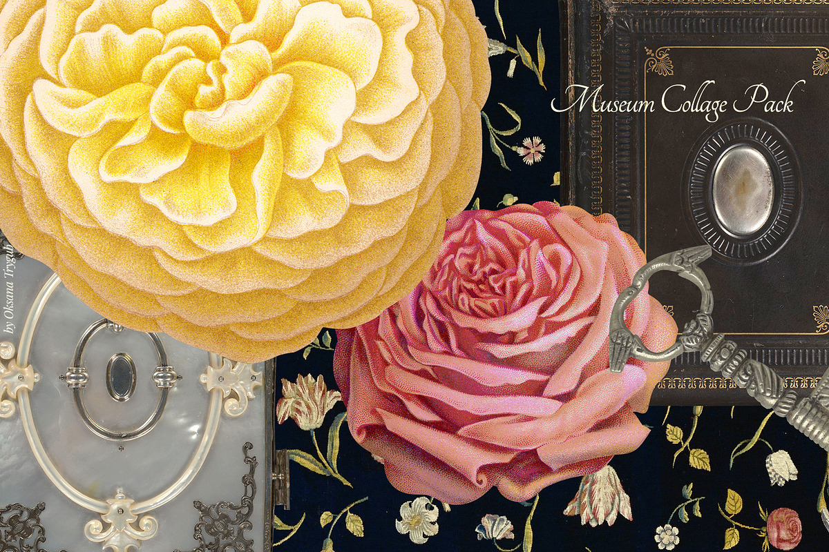 Vintage Museum Collage Elements Pack, an Object Graphic by Oksana Trygub (Photo 4 of 29)