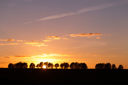 Evening landscape with silhouettes o stock photo containing sunset and, a Nature Photo by oleghz