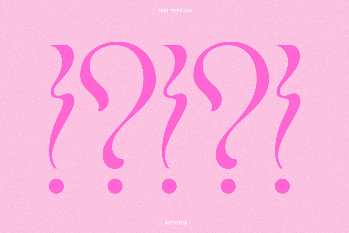 TAN - ASTORIA, a Serif Font by TanType (Photo 16 of 21)