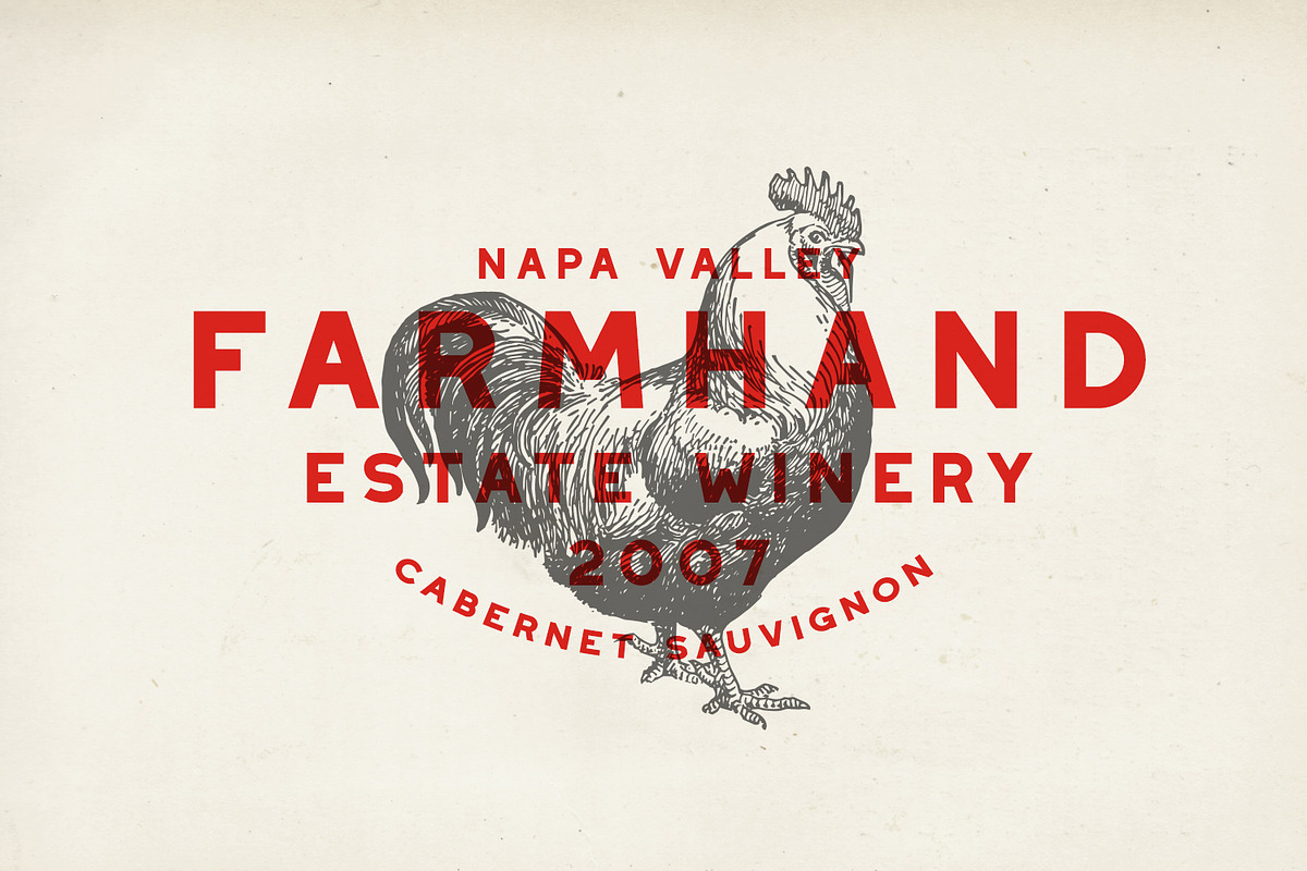 Westmount - 6 Sans Serif Fonts preview 5