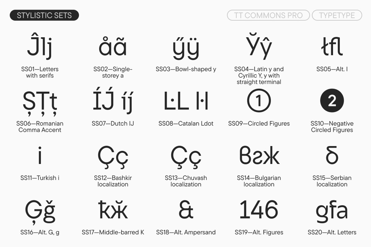 TT Commons Pro Basic, a Sans Serif Font by TypeType (Photo 14 of 15)