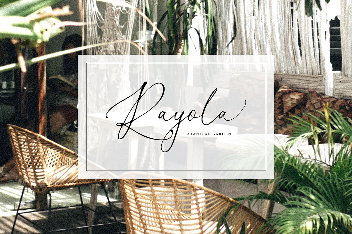 Cellita Script, a Script Font by Realtype (Photo 4 of 10)