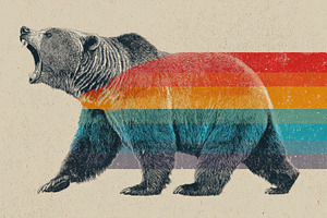 Bear walks against colored stripes, a Photo by Beautiful things