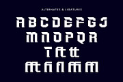 Driftrot - Sporty Display Font, a Handwritten Font by AQR Studio (Thumbnail 4 of 12)