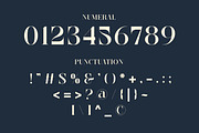 Merlya - Classic Serif Font, a Serif Font by Muflieart (Thumbnail 6 of 12)