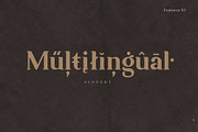 Ambigue Wild Modern x Vintage Serif, a Serif Font by Wandery Supply (Thumbnail 13 of 22)