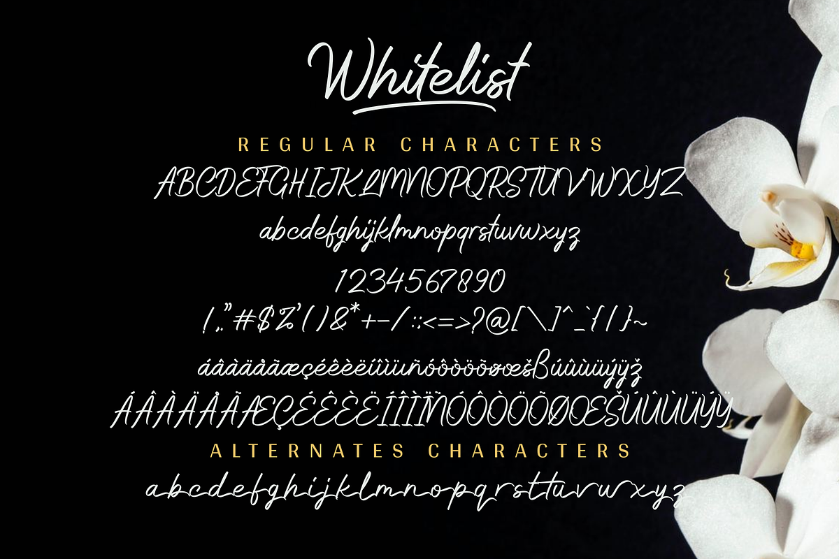 Whitelist - Marker Font, a Script Font by Sibelumpagi Studio (Photo 12 of 14)