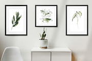 Green leaves | Botanical set, a Decorative Illustration by Karma (Thumbnail 2 of 18)
