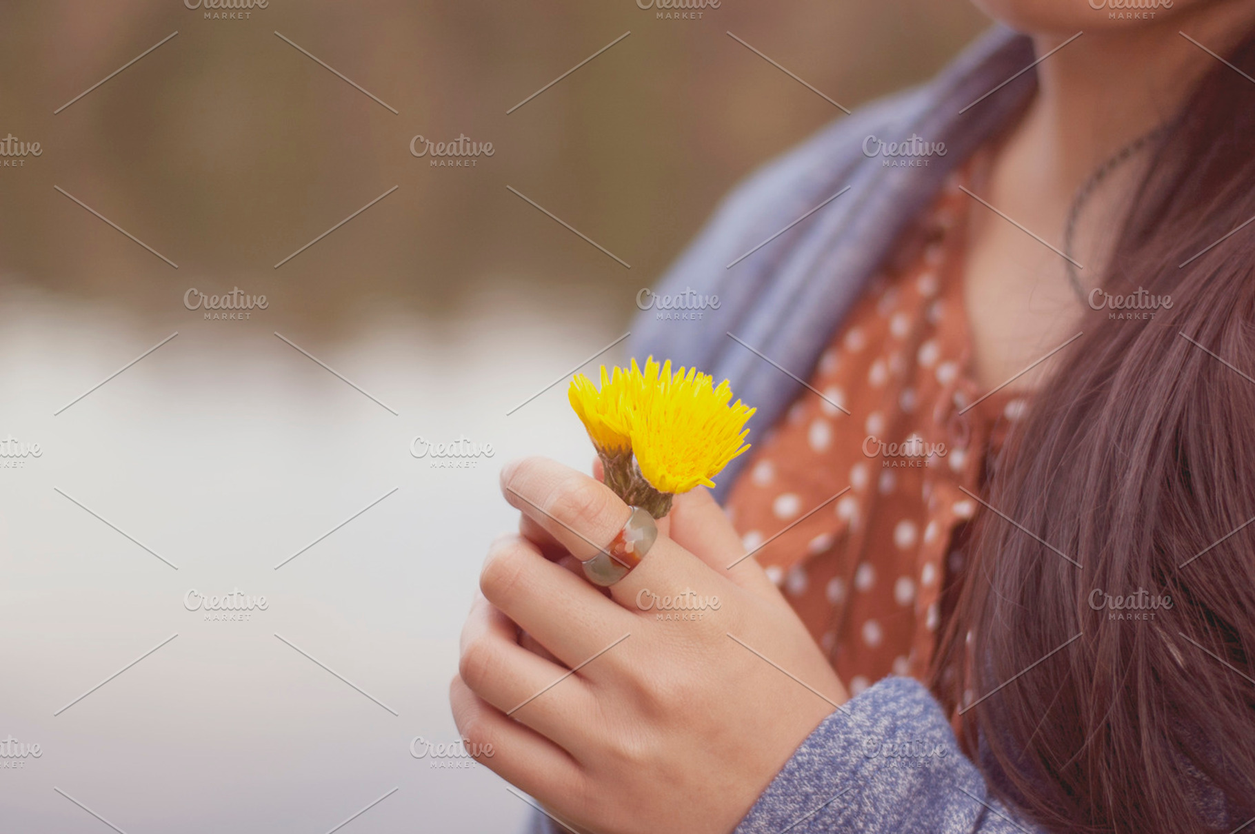 Beautiful Weeds Stock Photo Containing Yellow And Flowers