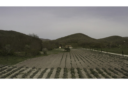 View of the green fields. Action, a Nature Photo by Media Whale Stock