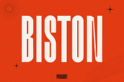 BISTON, a Font by Pinisi ART (Thumbnail 1 of 10)