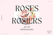 TAN - ANGLETON, a Serif Font by TanType (Thumbnail 9 of 16)