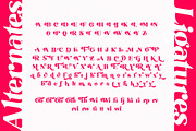 The Modern Typography Bundle, a Serif Font by Ivan Rosenberg (Thumbnail 28 of 58)