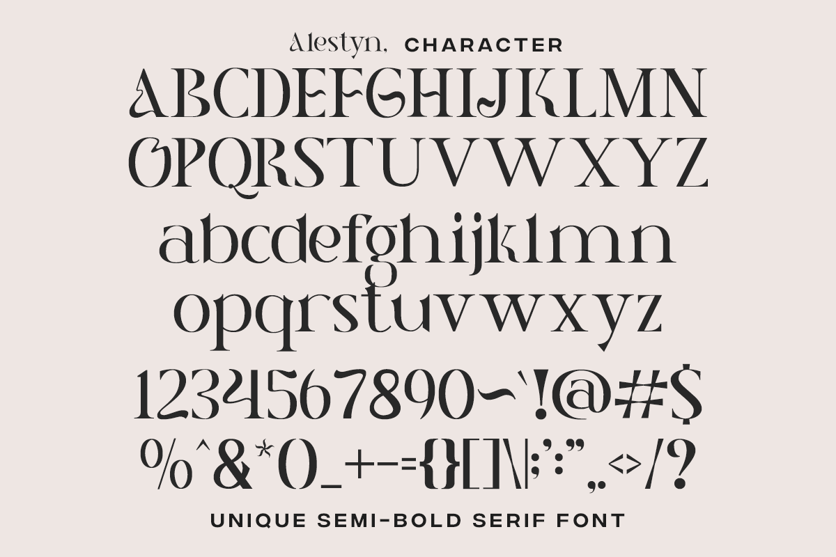 Alestyn - Aesthetic Modern Serif, a Serif Font by Pandeka Studio (Photo 12 of 12)