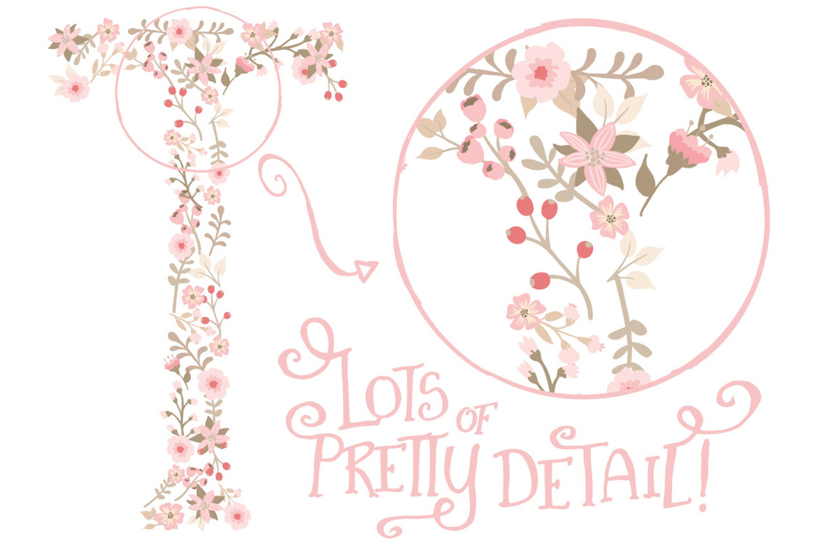 Soft Pink Floral Alphabet Vectors, an Illustration by Amanda Ilkov (Photo 5 of 5)