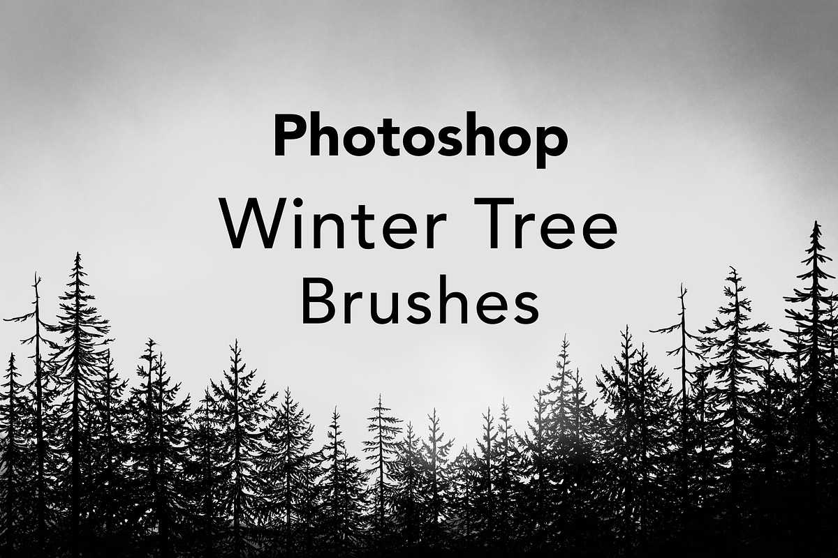 Photoshop Winter Tree Brushes, a Brush Add-On by buntegalerie (Photo 1 of 3)