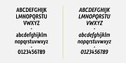 Depot New Condensed, a Sans Serif Font by Moretype (Thumbnail 5 of 5)