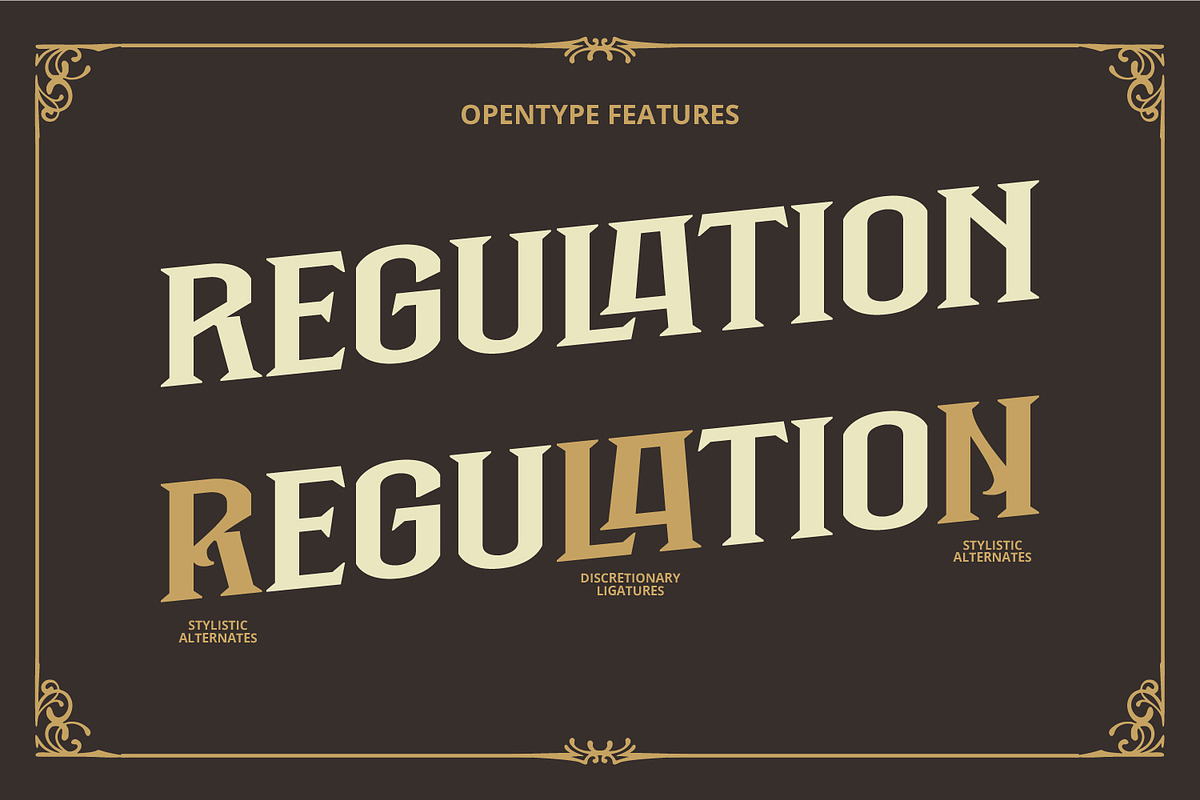 Black Holist, a Symbol Font by Vintage Division (Photo 11 of 15)