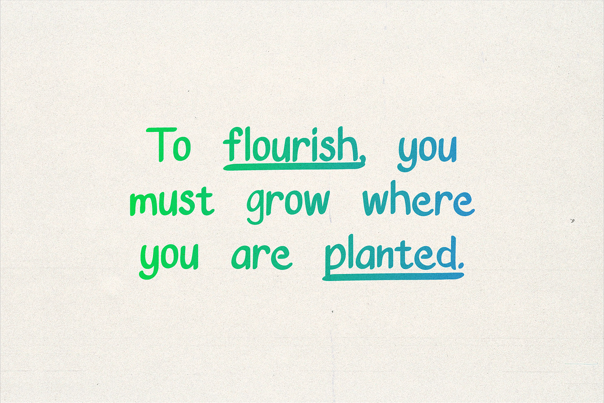 Truitt Sans - Simple Sans Font, a Sans Serif Font by Rodney Truitt Jr (Photo 6 of 9)